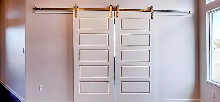 Glass Barn Door with Installation Hardware Kit Kearney